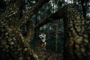 BIB: 
                            <button type="button" onclick="openModal(25673514)" class="btn btn-primary btn-sm float-right btn-popup" data-toggle="modal" data-target=".modal-high-quality">
                        <i class="fas fa-shopping-cart"></i> Add to Cart
                    </button>
                                            <button type="button" onclick="isThisMe(25673514, true)" class="btn btn-success btn-sm float-right btn-popup btn-isme hidden" data-toggle="tooltip" data-placement="bottom" title="นี่คือรูปของคุณใช่ไหม คลิกที่นี่เพื่อเอาเข้าอัลบั้ม">
                        <i class="fas fa-plus"></i> Add to album
                    </button>
                    <button type="button" onclick="isThisMe(25673514, false)" class="btn btn-warning btn-sm float-right btn-popup btn-isnotme hidden">
                        <i class="fas fa-ban"></i> Remove from album
                    </button>